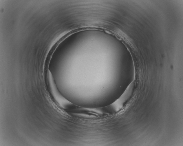 X0000066120884200603101233