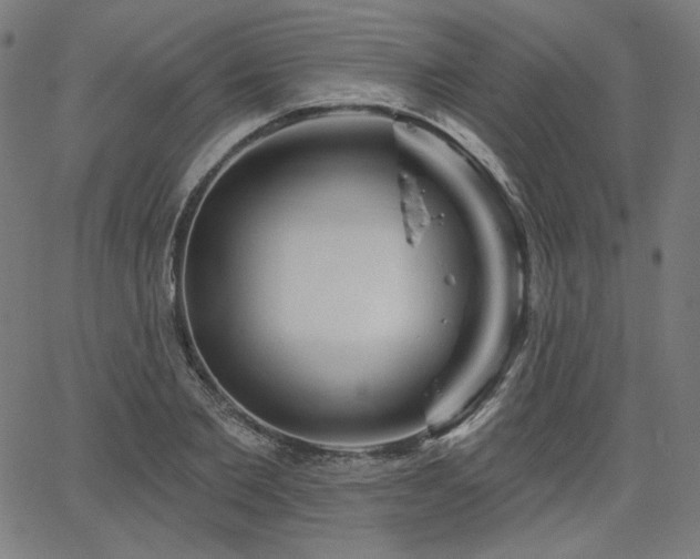 X0000066120885200603101233