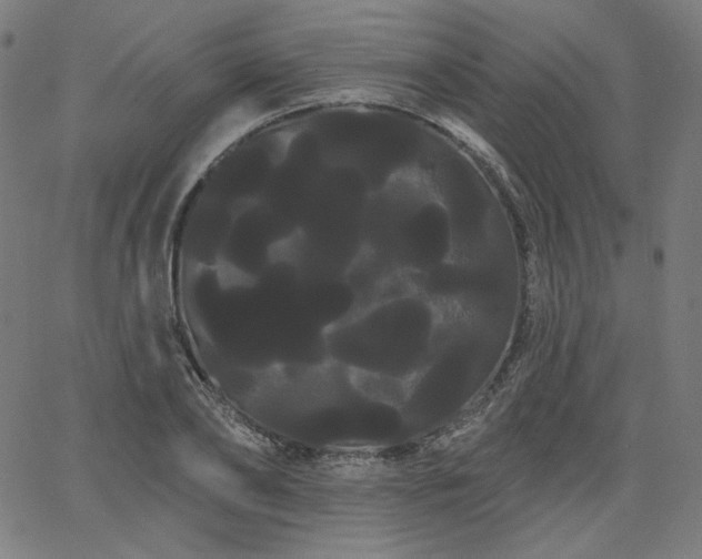 X0000066120886200603101233