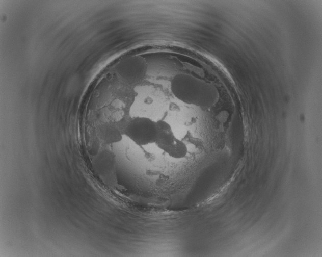 X0000066120887200603101233