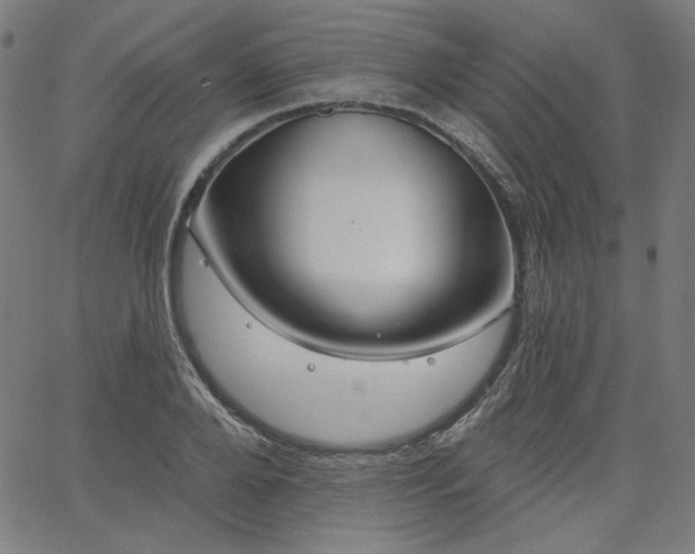 X0000066120888200603101233