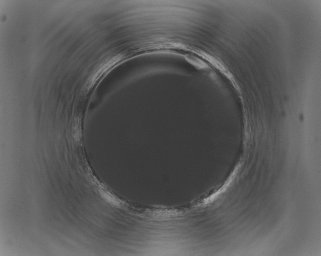 X0000066120889200603101233