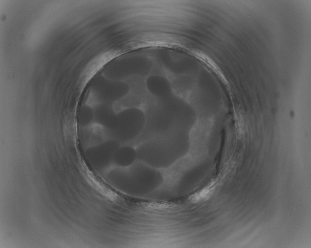 X0000066120890200603101233