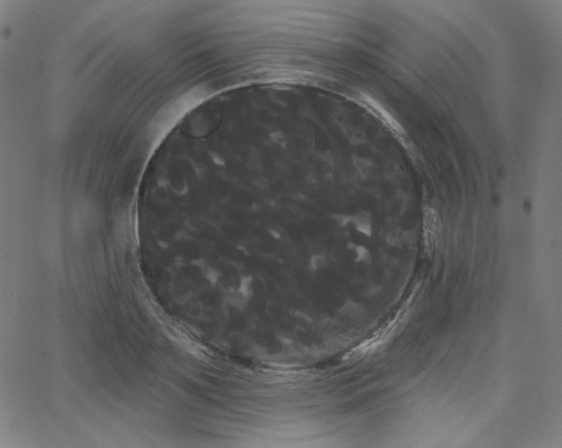 X0000066120891200603101233