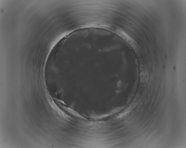 X0000066120892200603101233