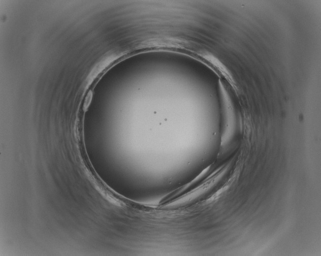 X0000066120893200603101233