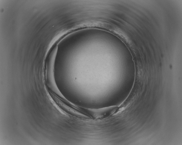 X0000066120894200603101233