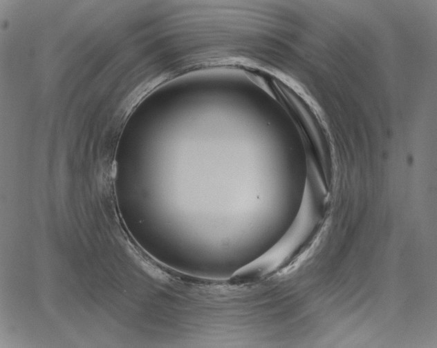 X0000066120897200603101232