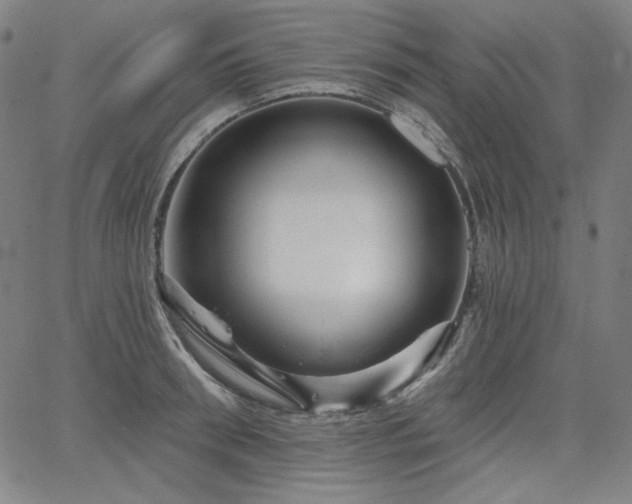 X0000066120898200603101232