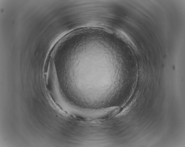 X0000066120900200603101232