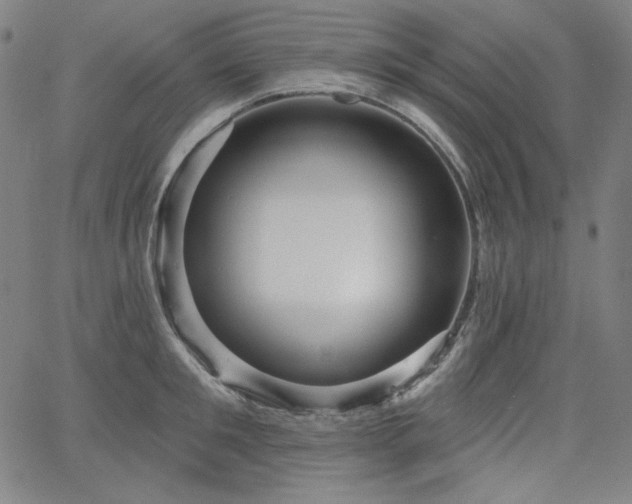 X0000066120901200603101232