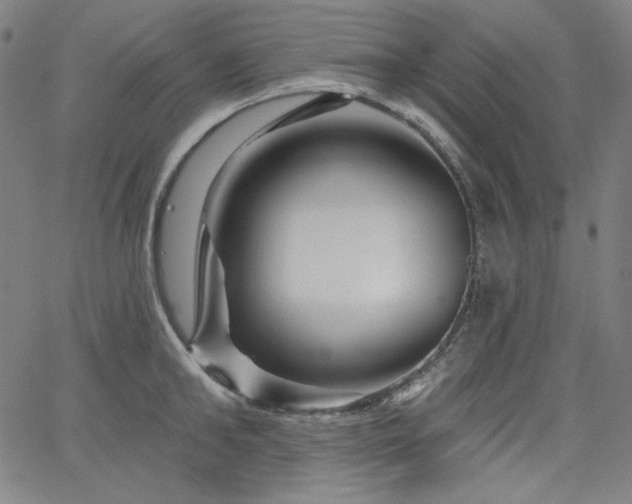 X0000066120902200603101232