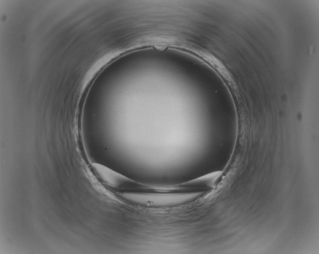 X0000066120904200603101232