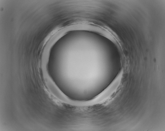 X0000066120909200603101232