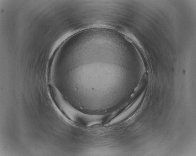 X0000066120910200603101232