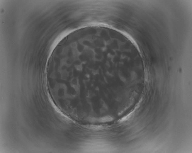 X0000066120911200603101232