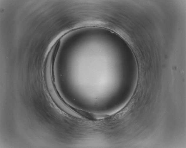 X0000066120912200603101232