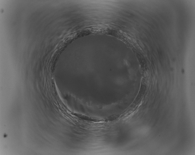 X0000066120913200603101231