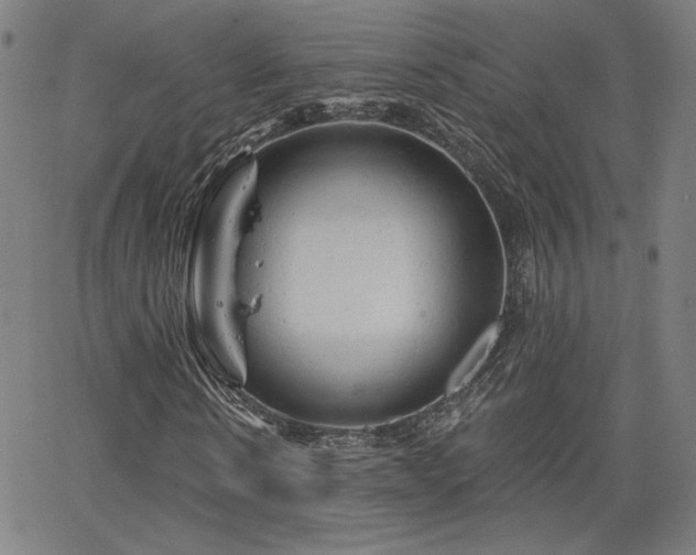 X0000066120914200603101231