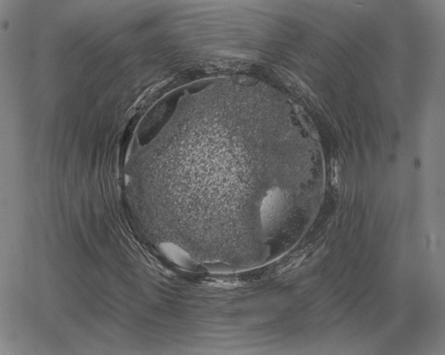 X0000066120915200603101231