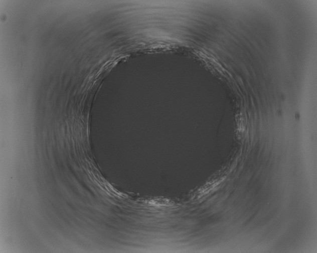 X0000066120916200603101231