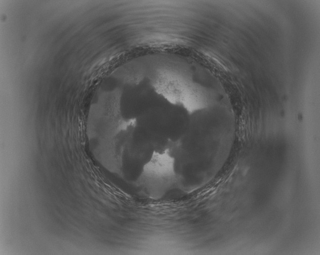 X0000066120917200603101231