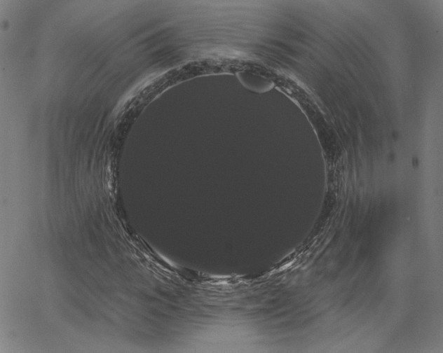 X0000066120919200603101232