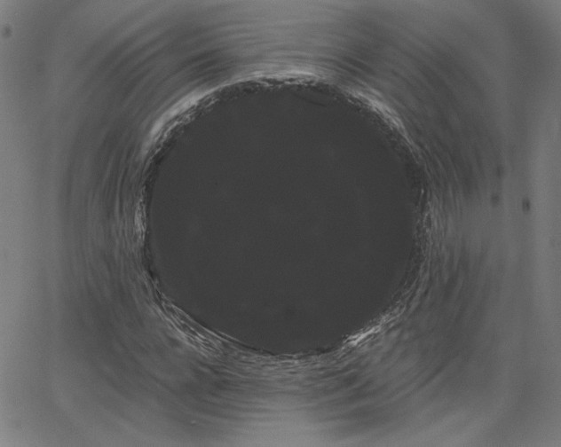 X0000066120920200603101232