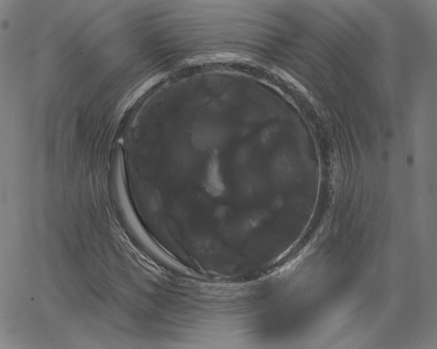 X0000066120921200603101232