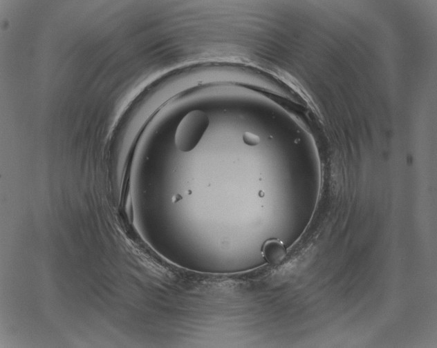 X0000066120926200603101232