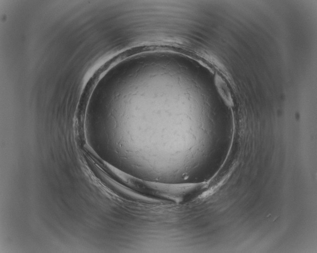 X0000066120928200603101232