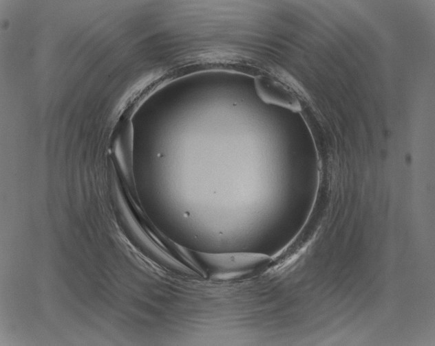 X0000066120930200603101232