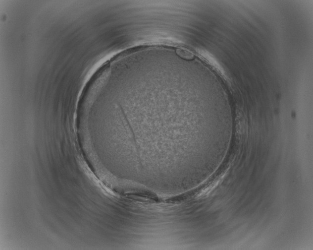 X0000066120932200603101232