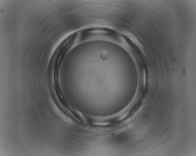 X0000066120934200603101232