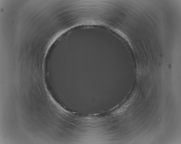 X0000066120935200603101232