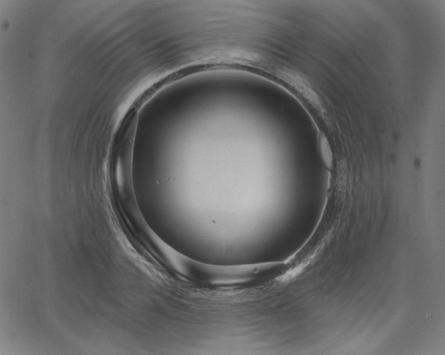 X0000066120936200603101232