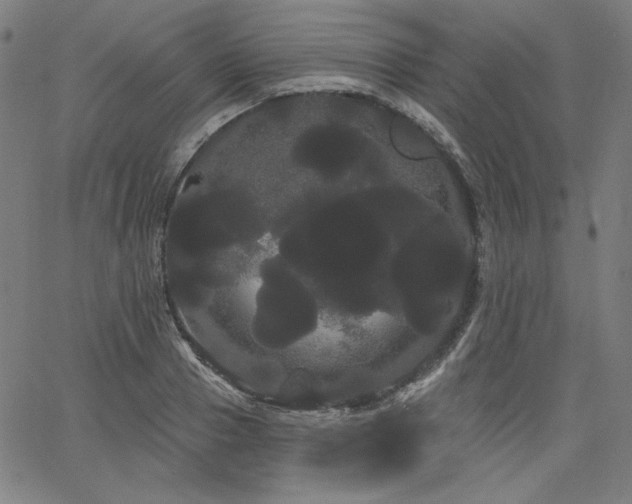 X0000066120937200603101232