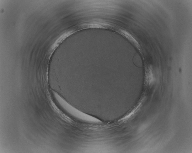 X0000066120938200603101232