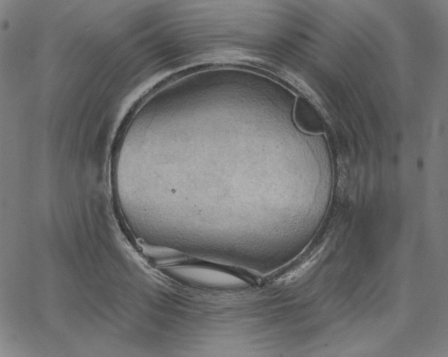 X0000066120939200603101232