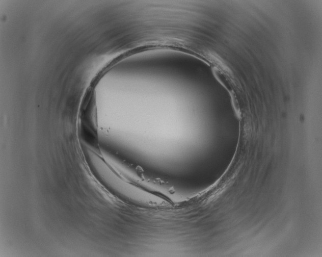 X0000066120940200603101232