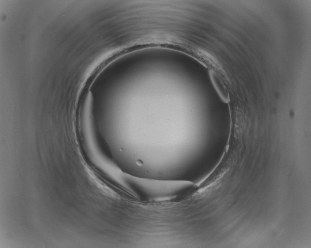 X0000066120942200603101232