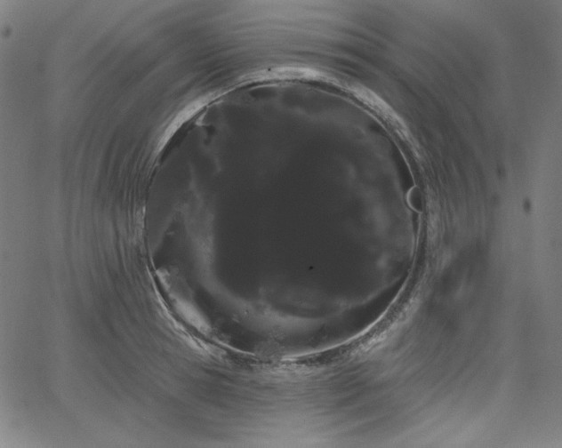 X0000066120945200603101232