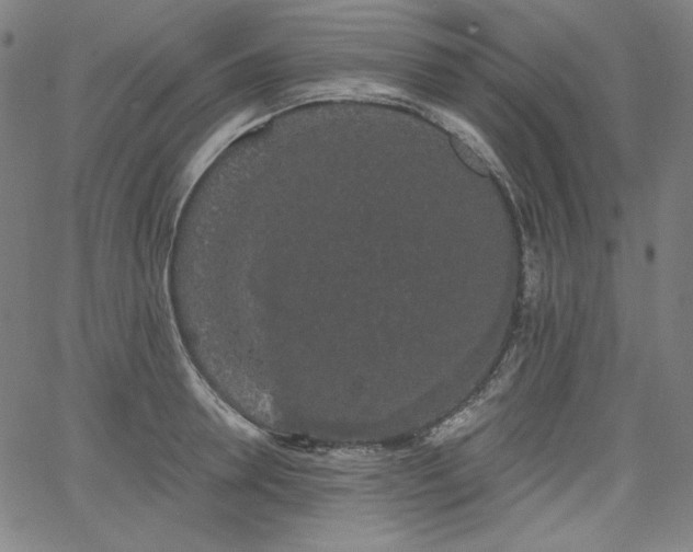 X0000066120946200603101232