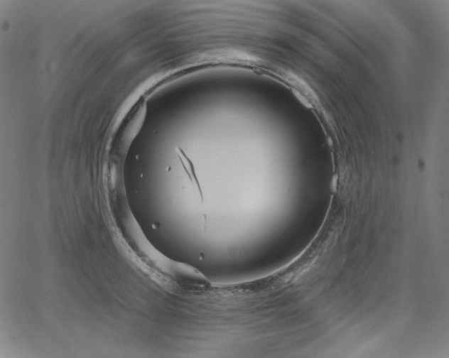 X0000066120947200603101232