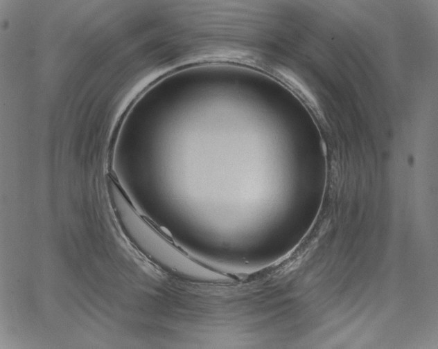 X0000066120948200603101232