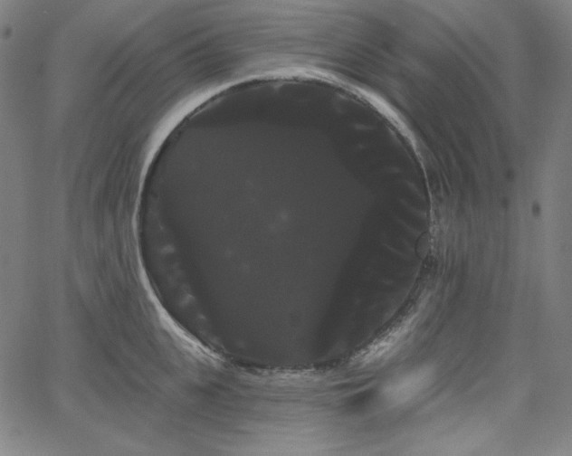 X0000066120951200603101232