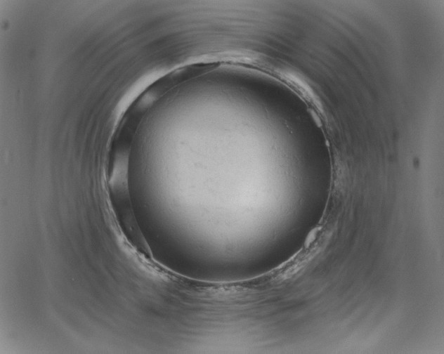 X0000066120952200603101232