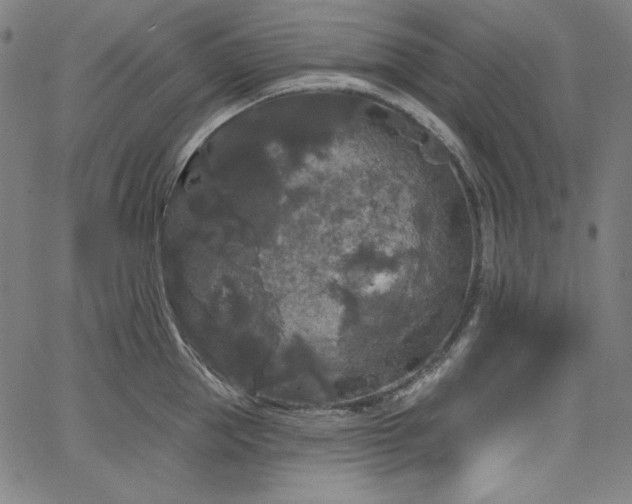 X0000066120953200603101232