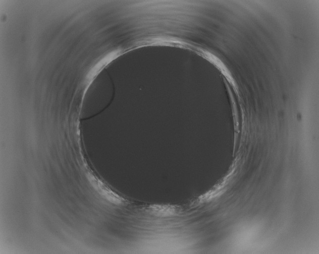 X0000066120954200603101232