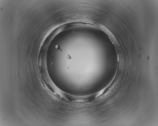 X0000066120956200603101232